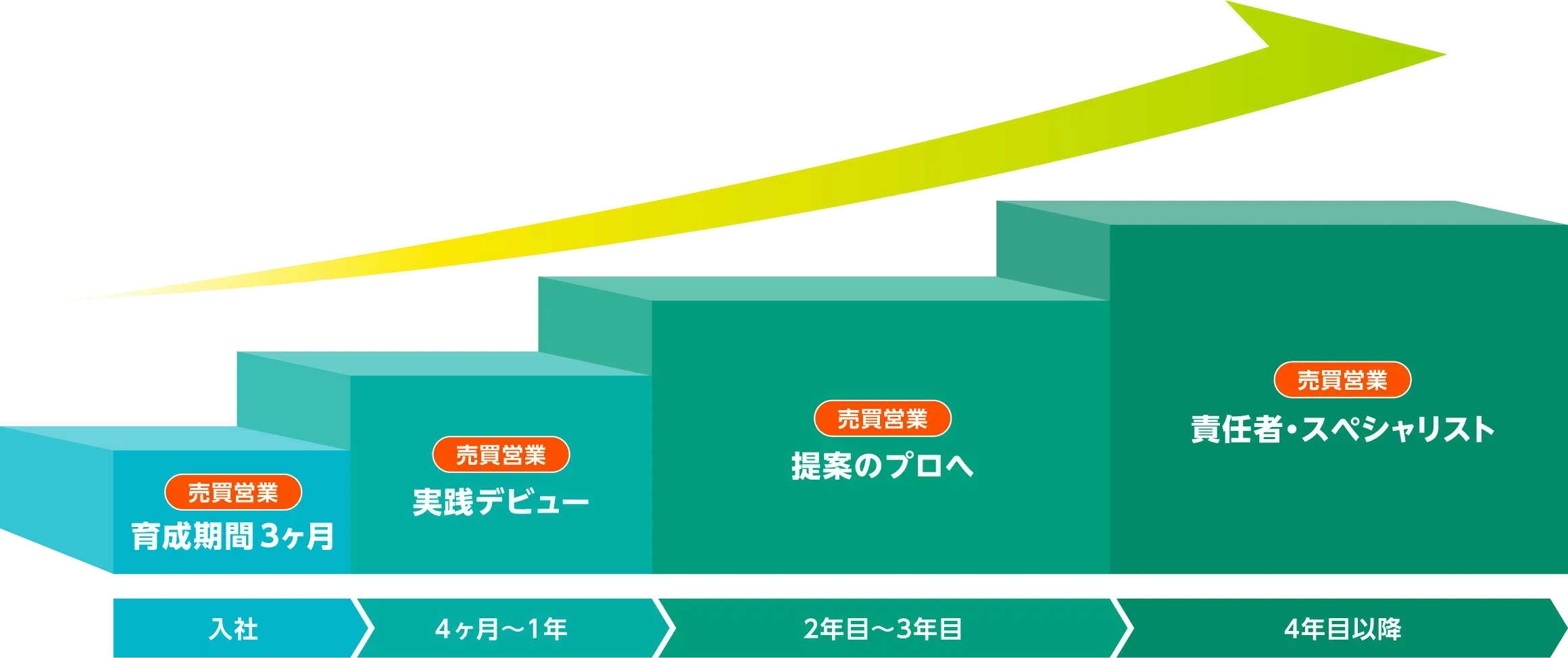 キャリアステップの図