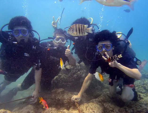 社員旅行の写真